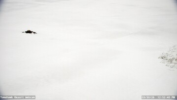 Lake of the Woods Webcam, Mon, 30 Mar 2026 17:52:43 GMT