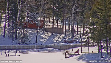 Lake of the Woods Webcam, Fri, 03 Apr 2026 17:17:14 GMT