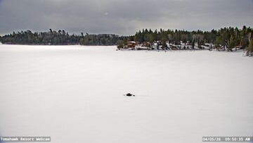 Lake of the Woods Webcam, Sun, 05 Apr 2026 14:50:35 GMT