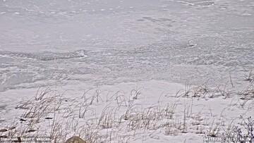 Lake of the Woods Webcam, Sat, 18 Apr 2026 18:30:15 GMT