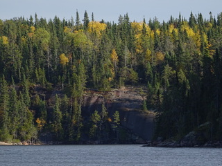 Evaluate('LPImages.AltTag') ...