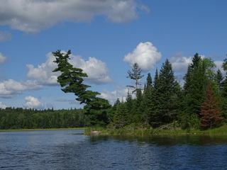 Evaluate('LPImages.AltTag') ...