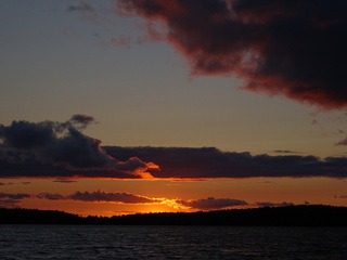 Evaluate('LPImages.AltTag') ...